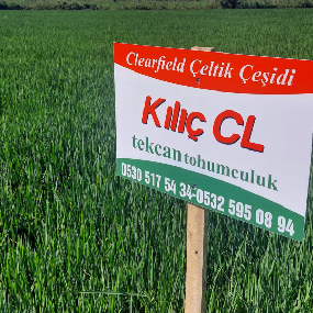 kilic-cl son