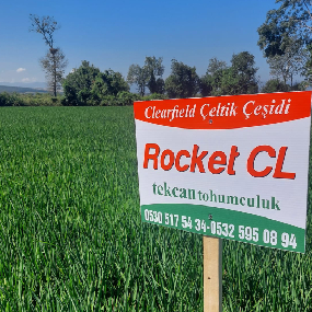 rocket cl son