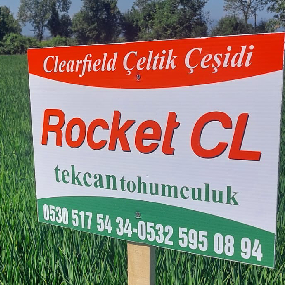 rocket cl