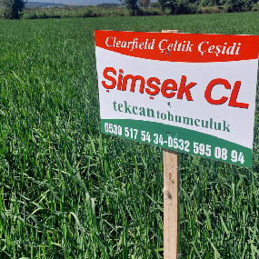 simsek cl son